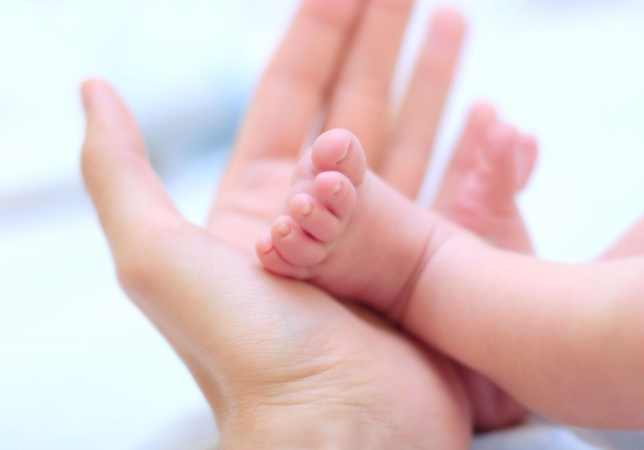 image of a baby's foot being held by one of our Brisbane podiatrists